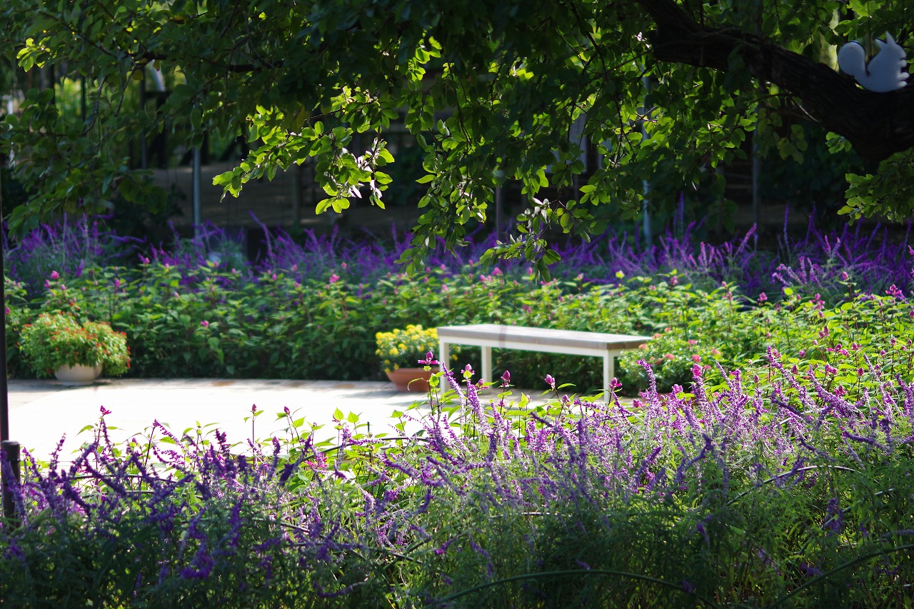 栃木県足利市のあしかがフラワーパークの花々