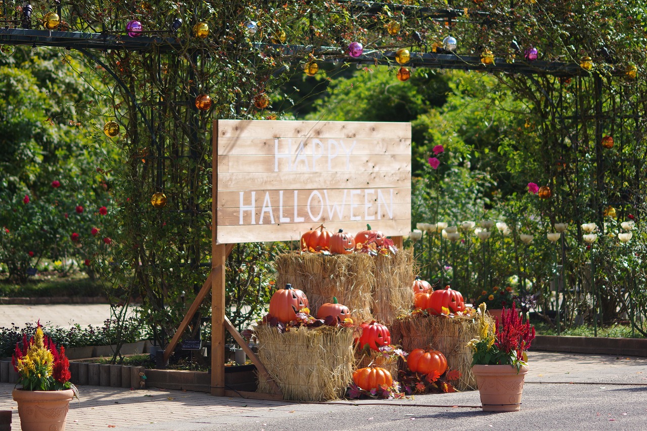 栃木県足利市のあしかがフラワーパークの花々