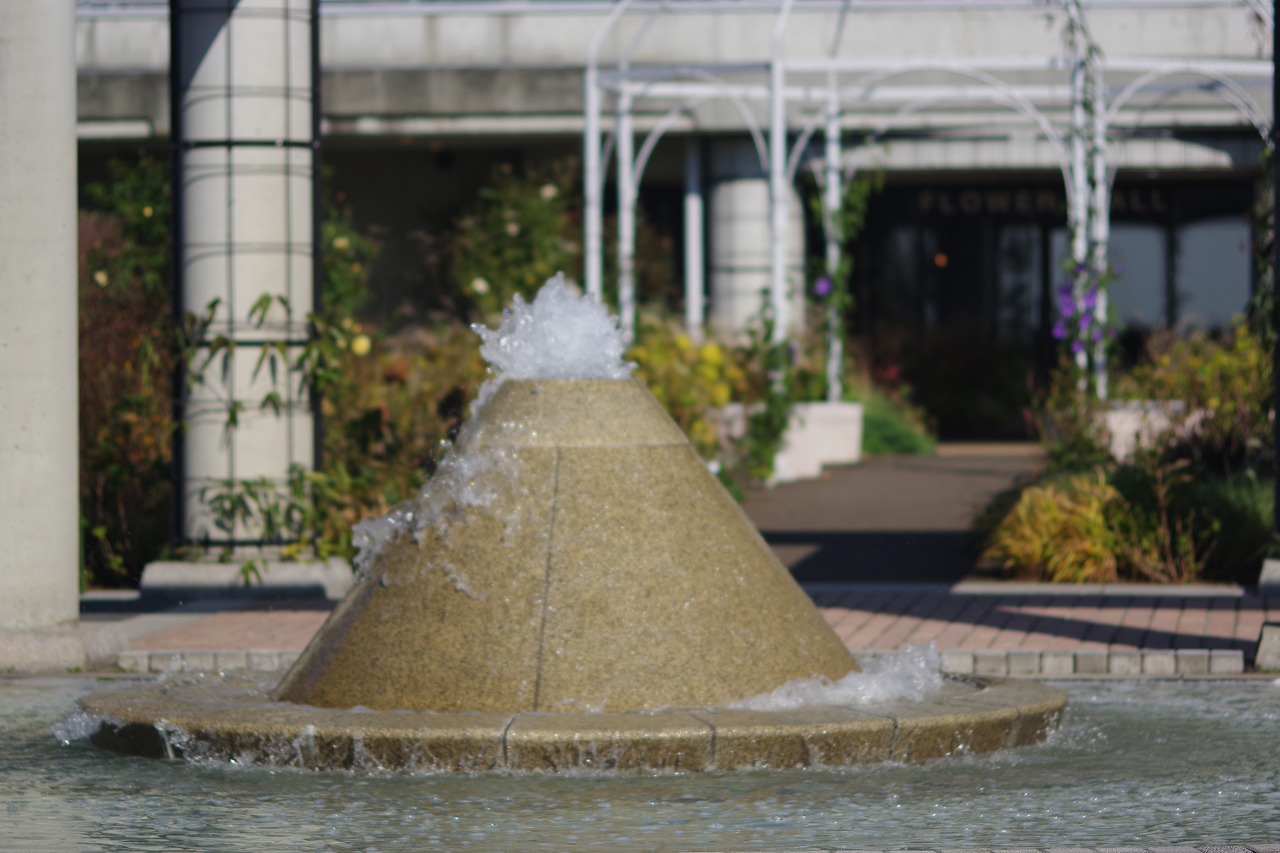 群馬県前橋市の群馬フラワーパークの花々