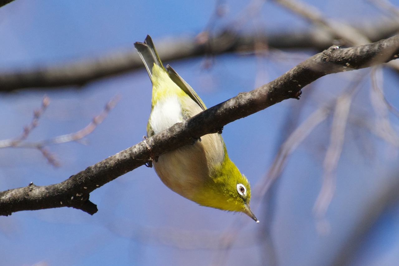 群馬県太田市の太田市運動公園
