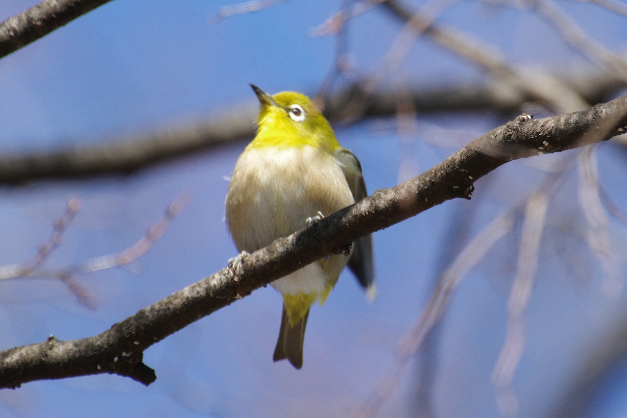 群馬県太田市の太田市運動公園