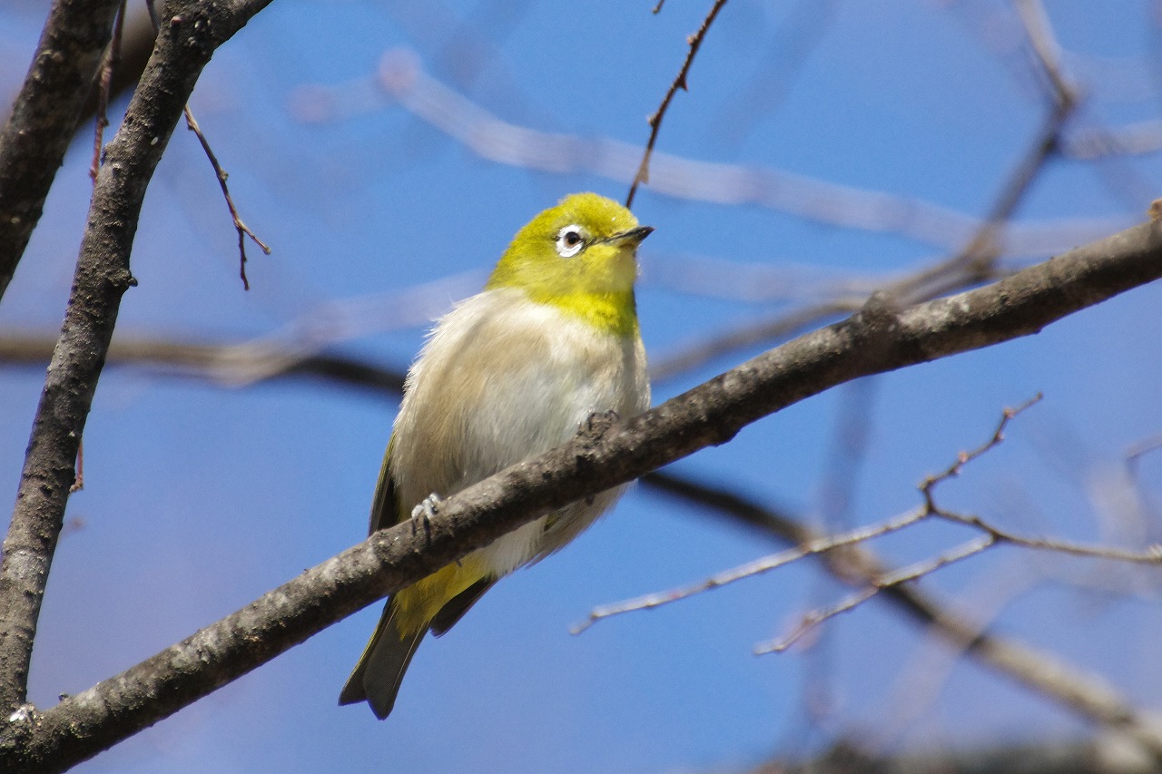 群馬県太田市の太田市運動公園