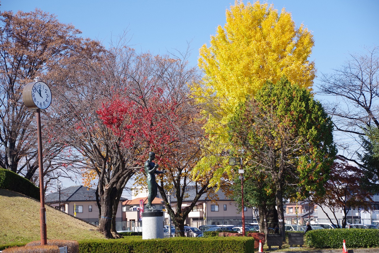 群馬県太田市の太田市運動公園の紅葉
