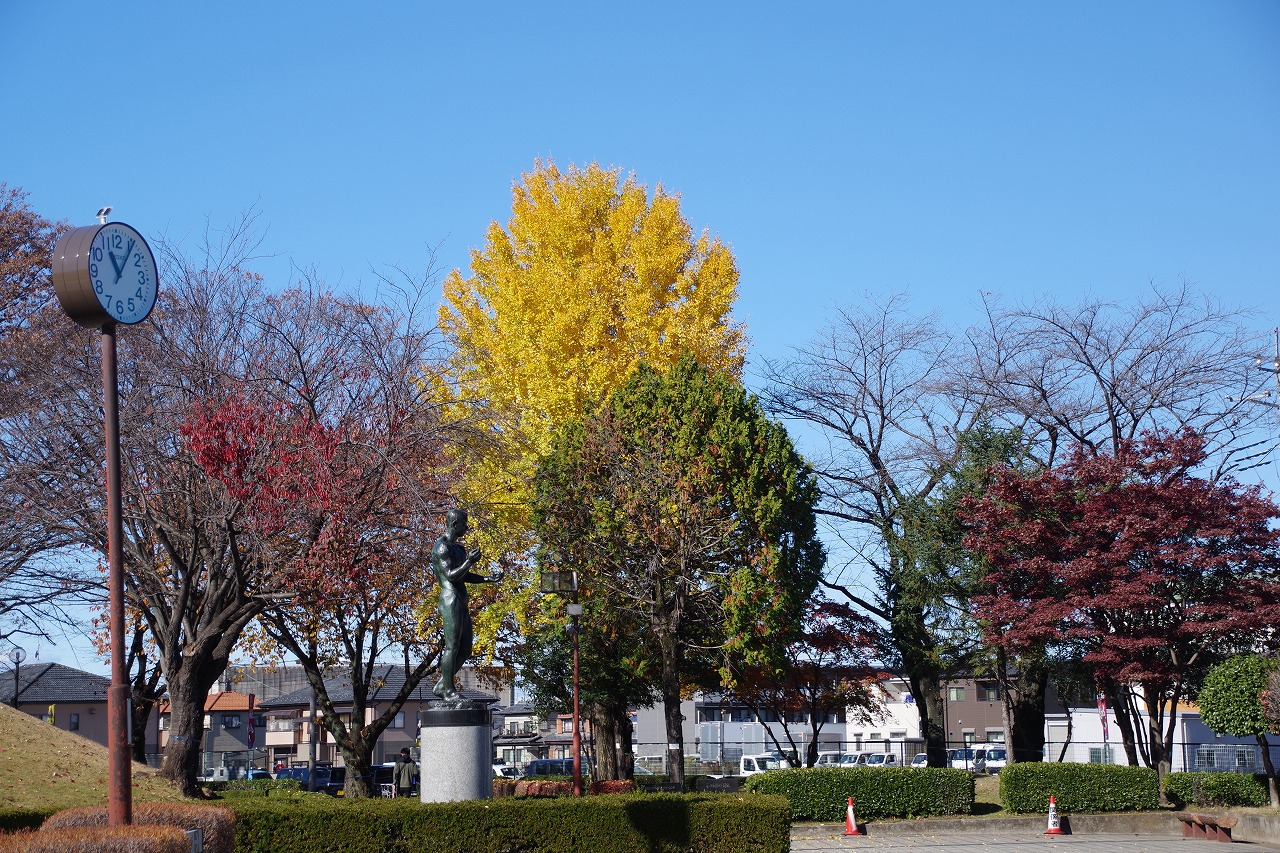 群馬県太田市の太田市運動公園の紅葉