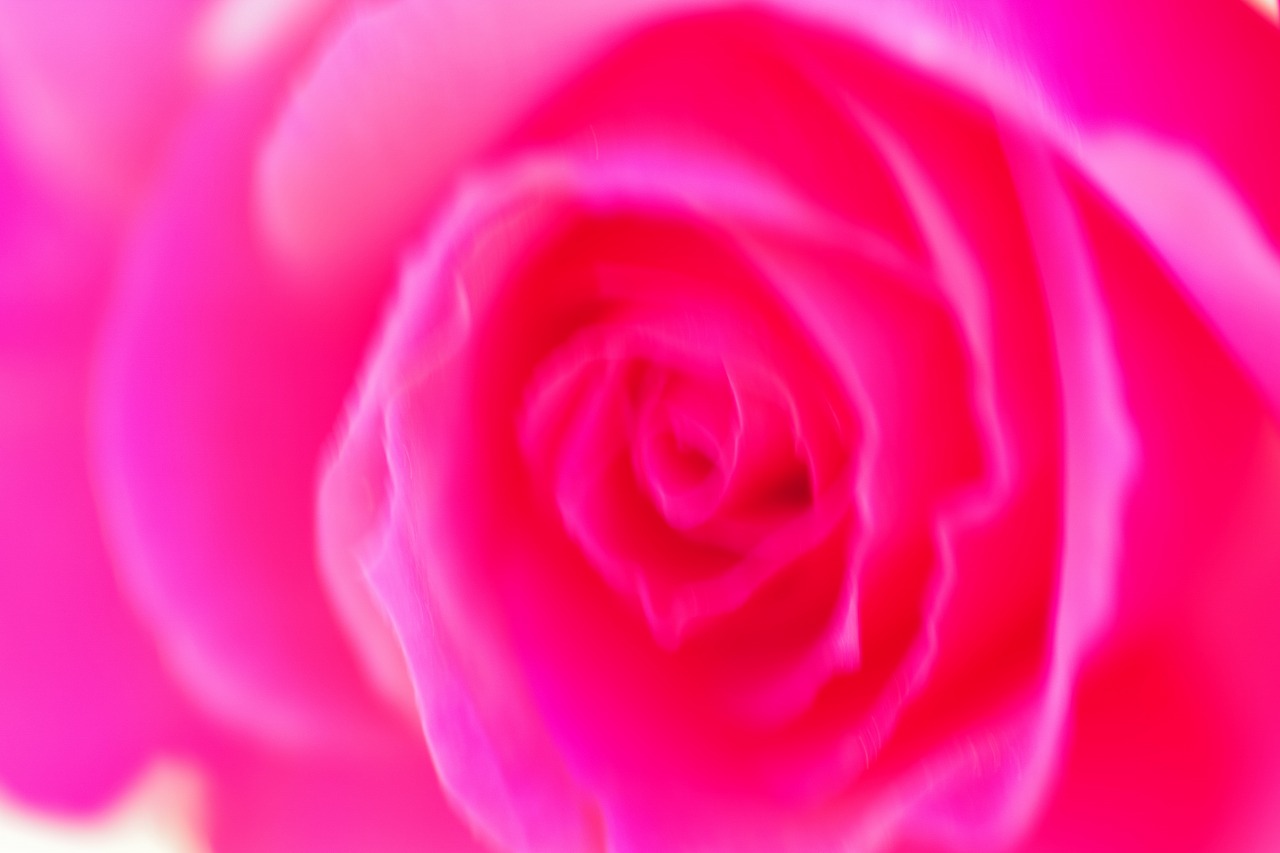 栃木県足利市のあしかがフラワーパークの花々