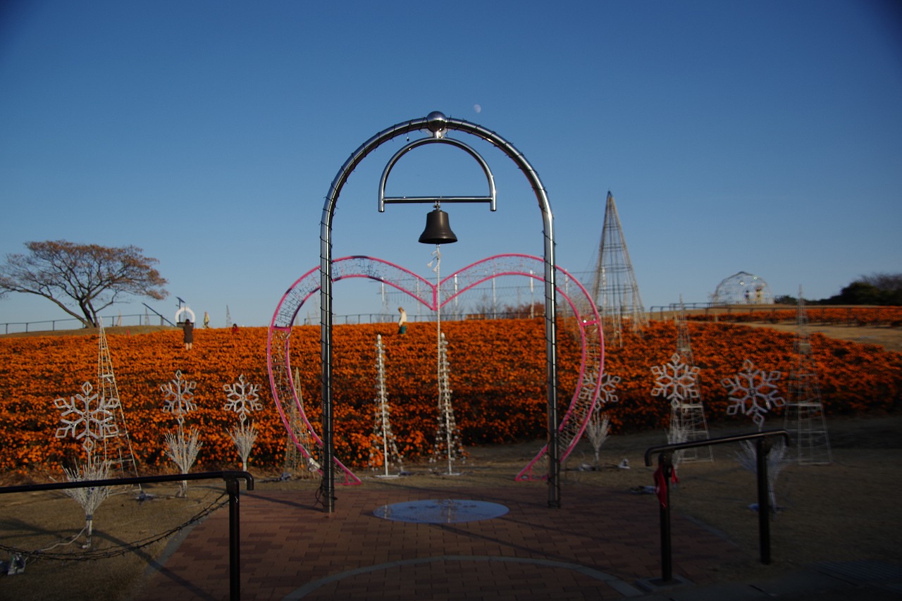 埼玉県本庄市のマリーゴールドの丘公園