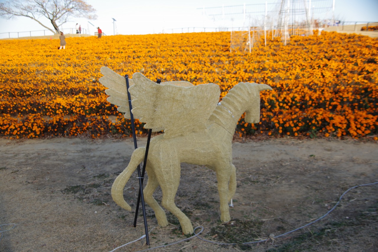 埼玉県本庄市のマリーゴールドの丘公園