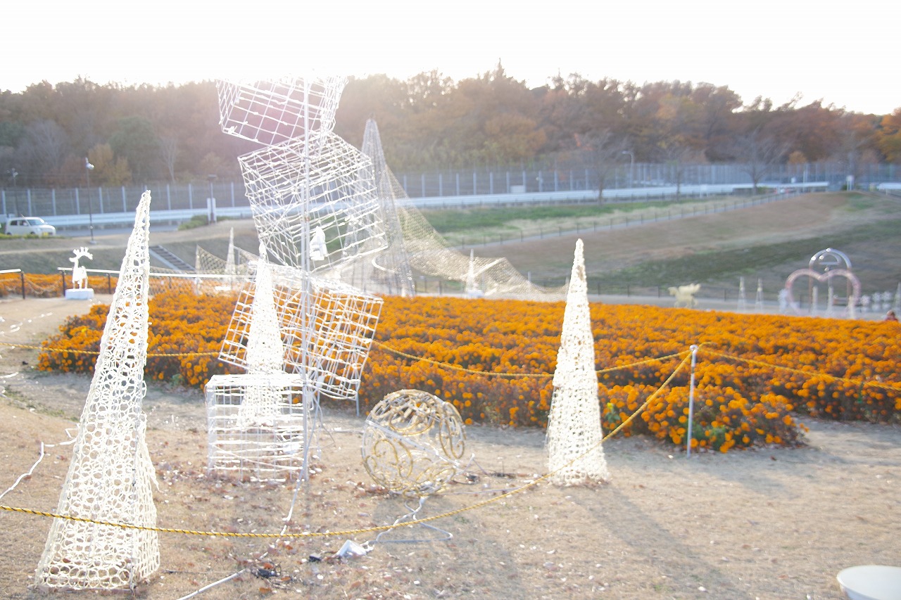埼玉県本庄市のマリーゴールドの丘公園