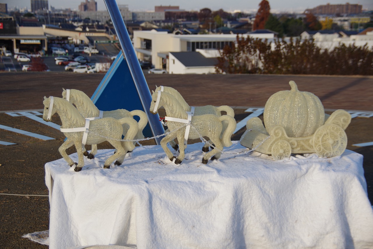 埼玉県本庄市のマリーゴールドの丘公園