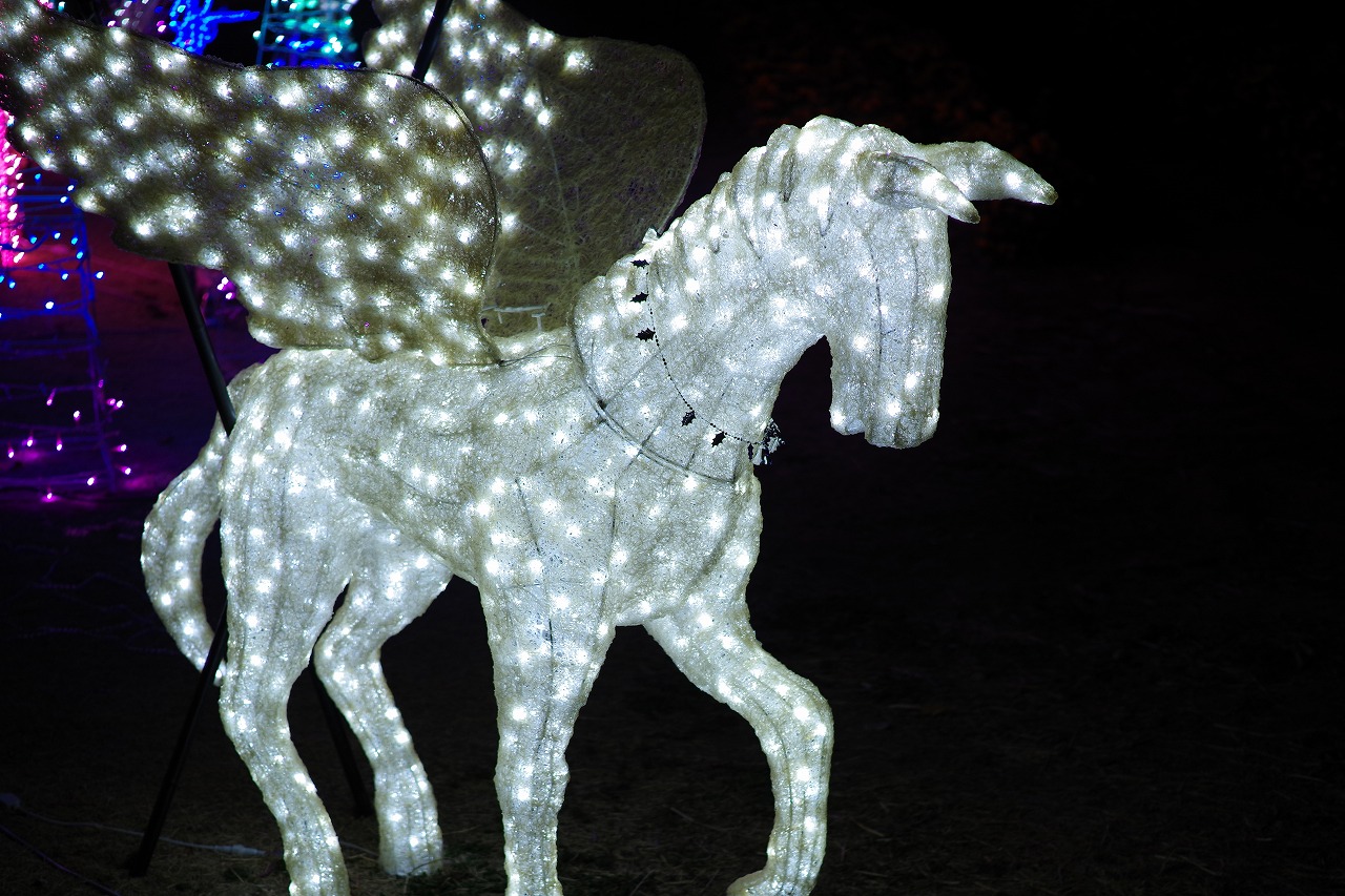 埼玉県本庄市のマリーゴールドの丘公園のイルミネーション