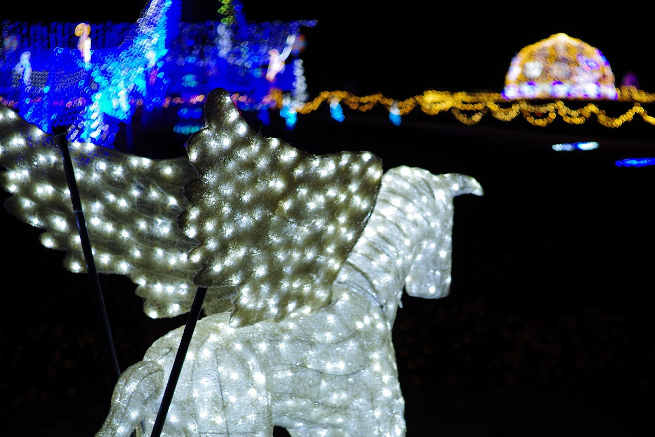 埼玉県本庄市のマリーゴールドの丘公園のイルミネーション