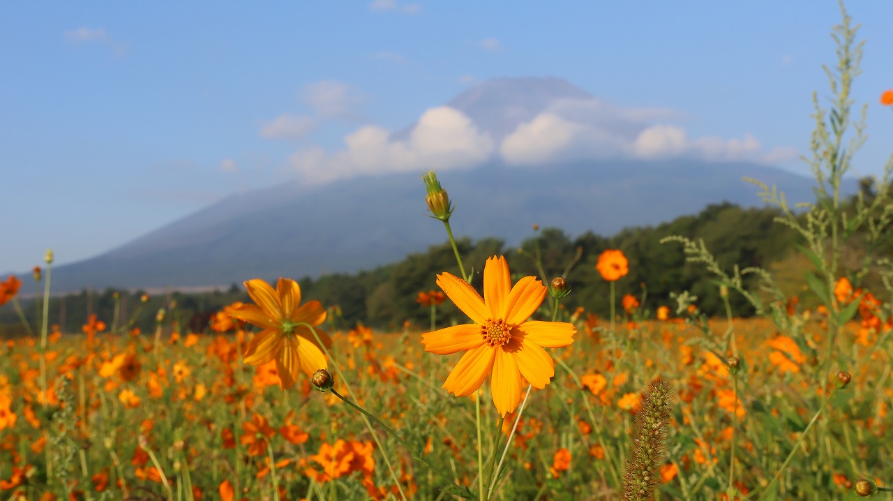 山梨県の山中湖のパノラマ台からの富士山と天の川