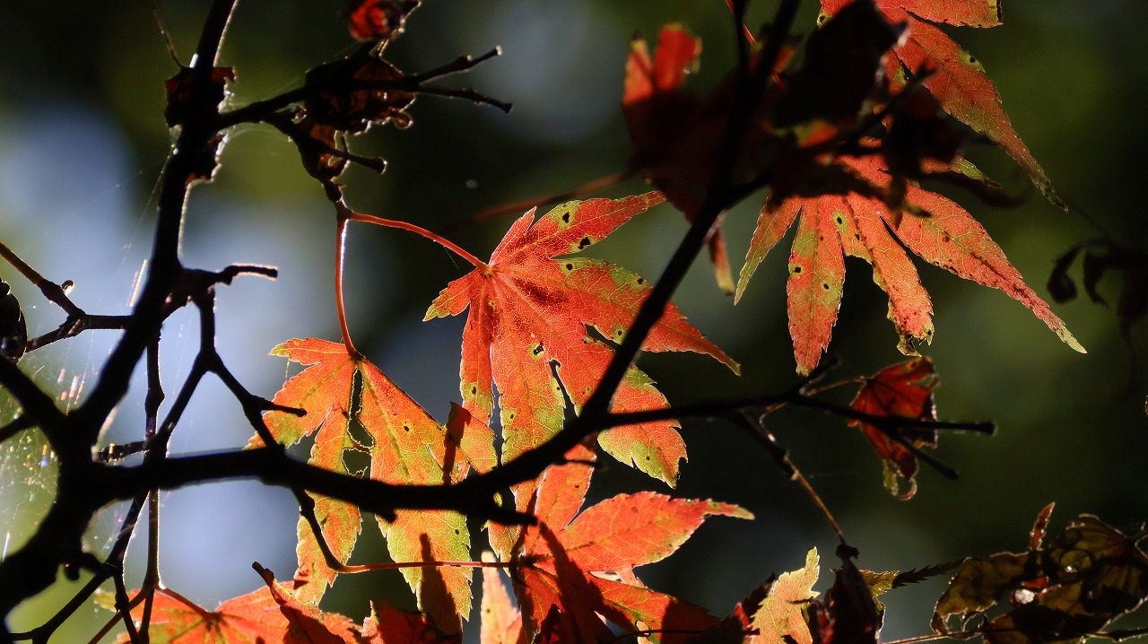 群馬県の榛名湖