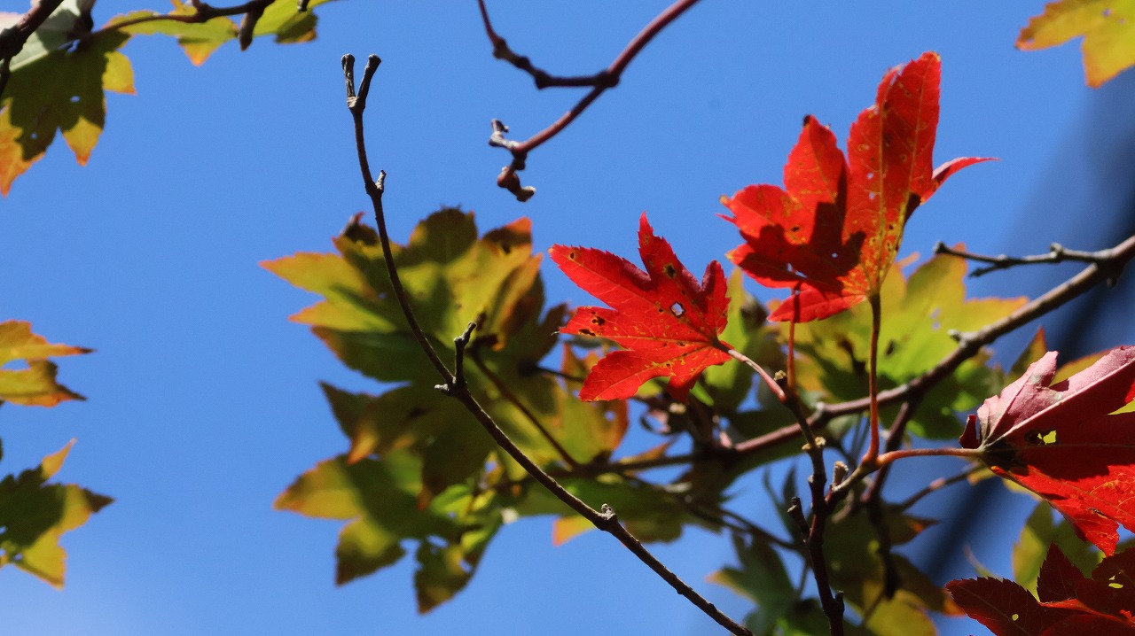 群馬県の榛名湖