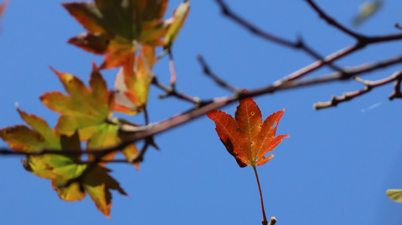 群馬県の榛名湖