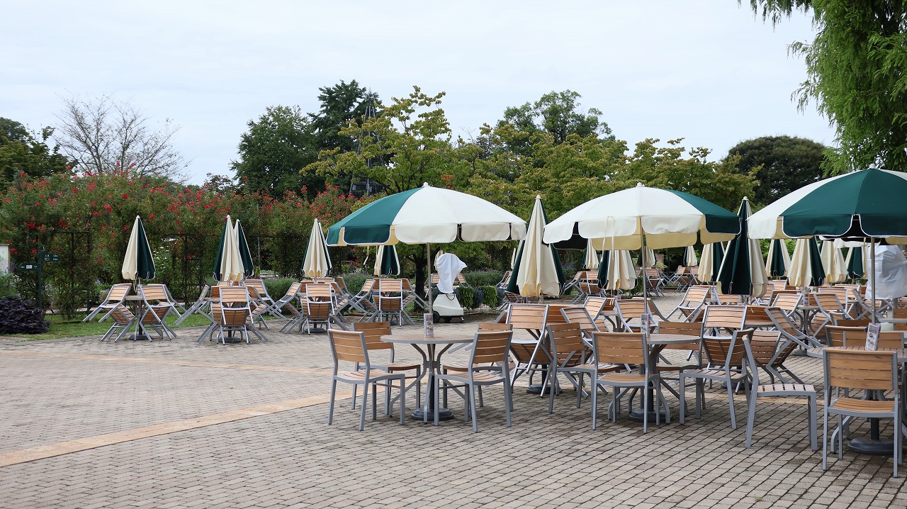 栃木県足利市のあしかがフラワーパークの花々