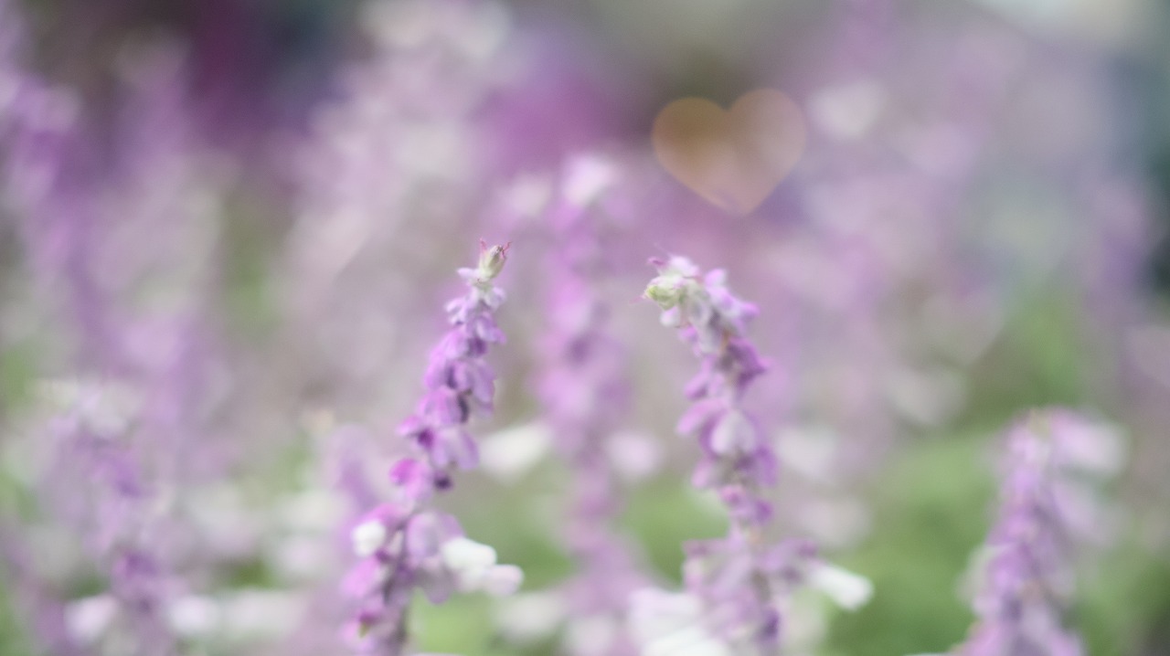 あしかがフラワーパークの花々