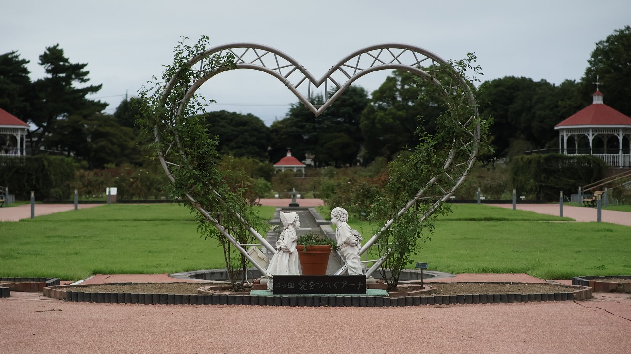 群馬県前橋市の敷島公園のバラ園