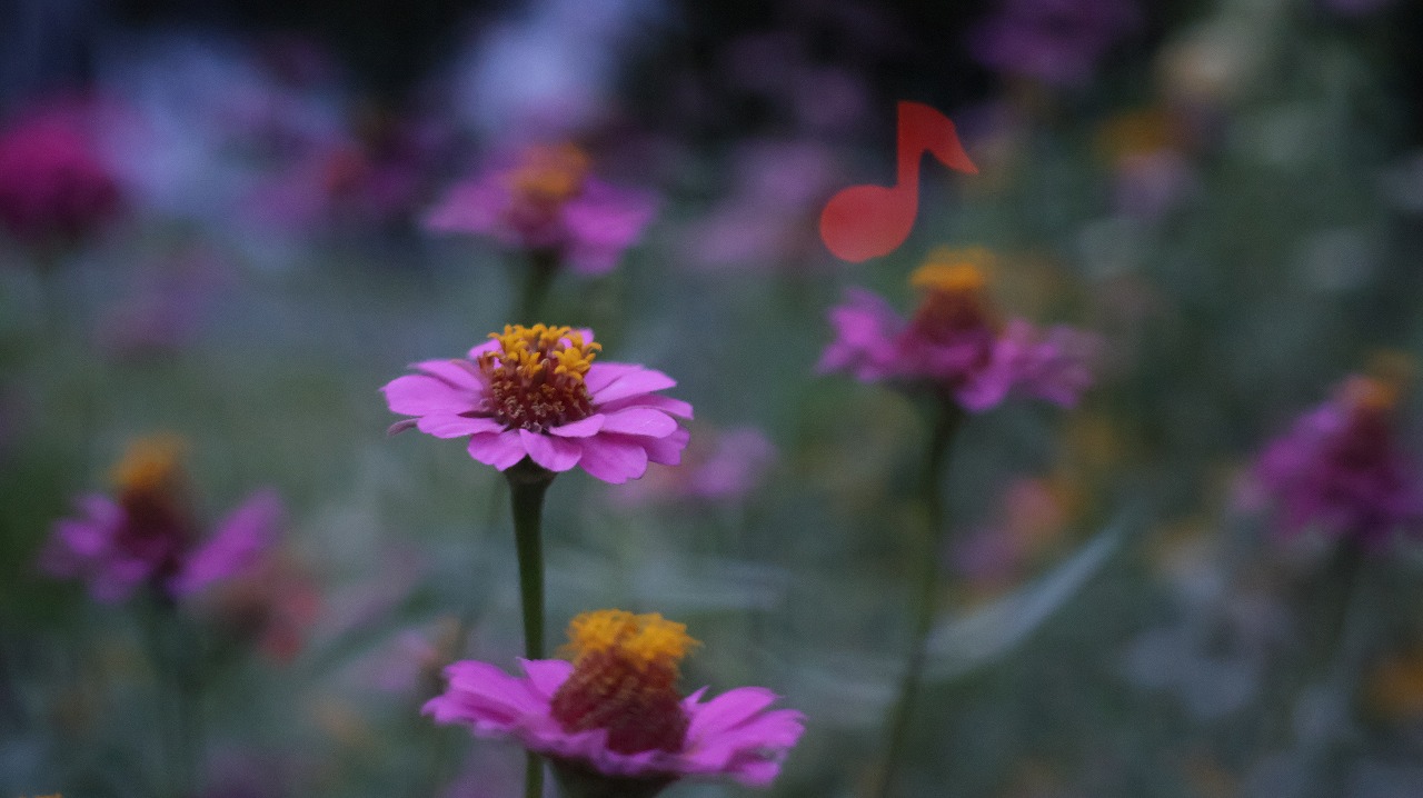群馬県太田市の太田市運動公園の風鈴