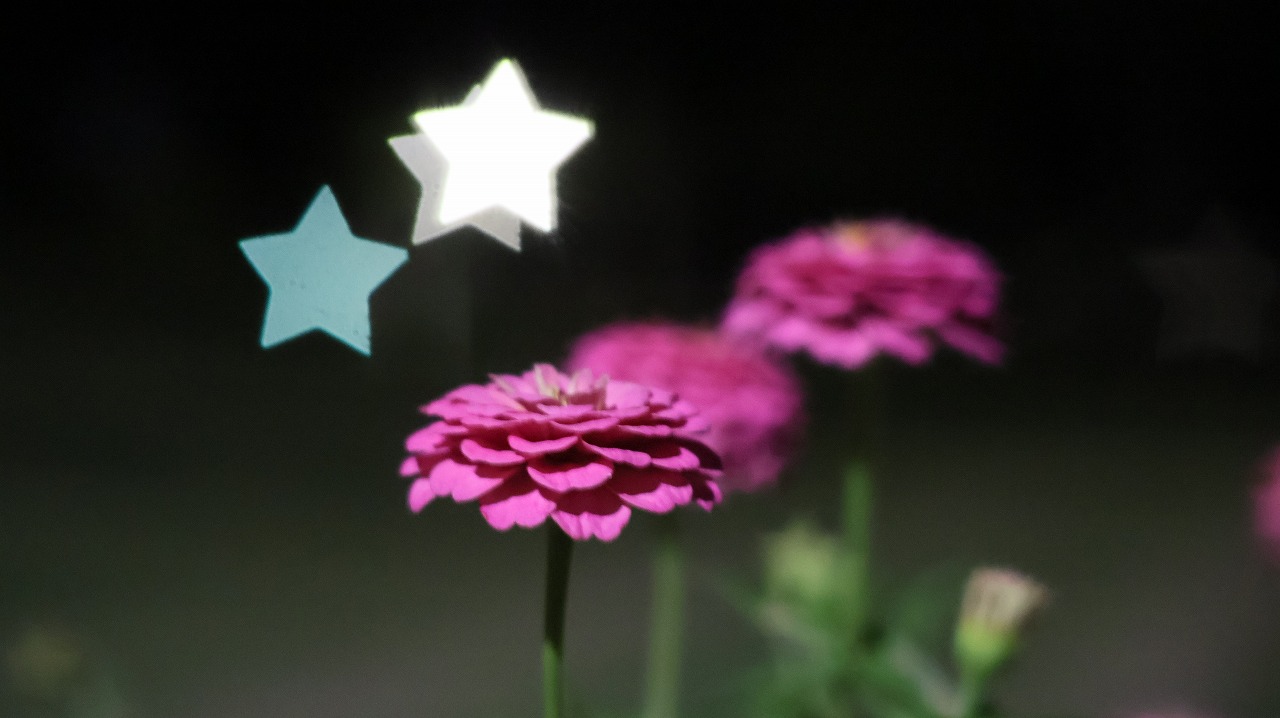 群馬県太田市の太田市運動公園の風鈴