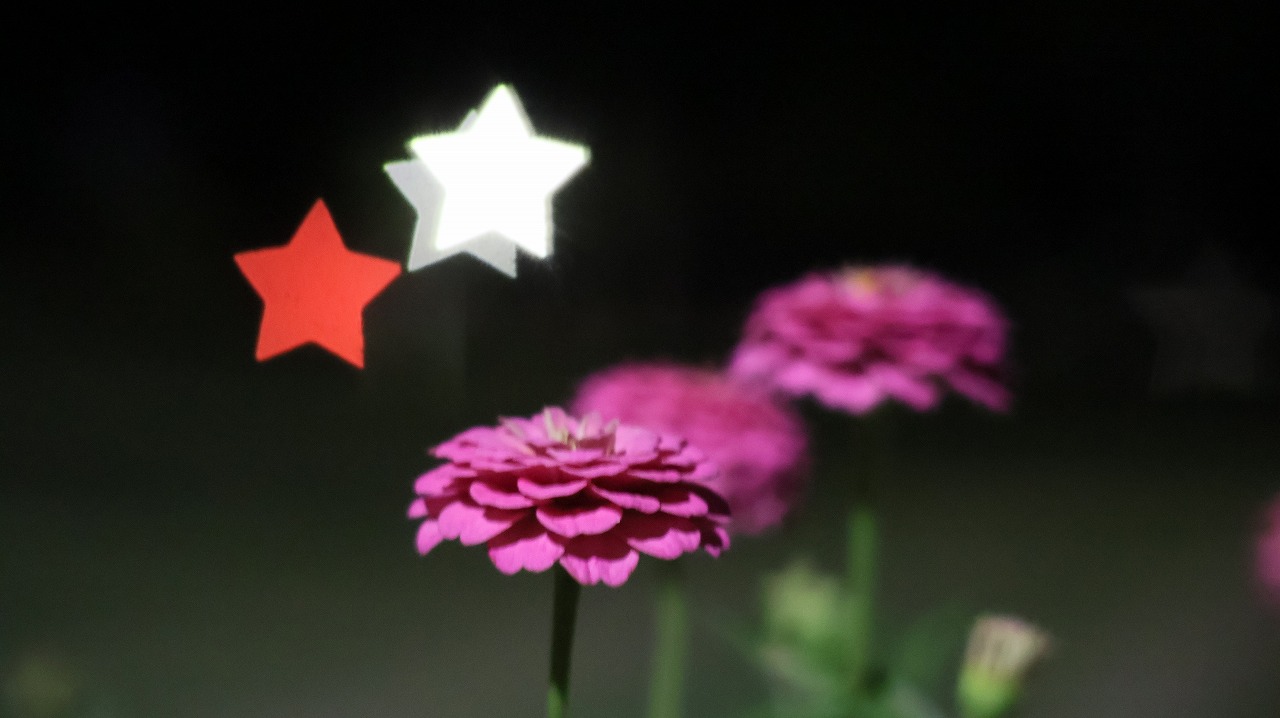 群馬県太田市の太田市運動公園の風鈴