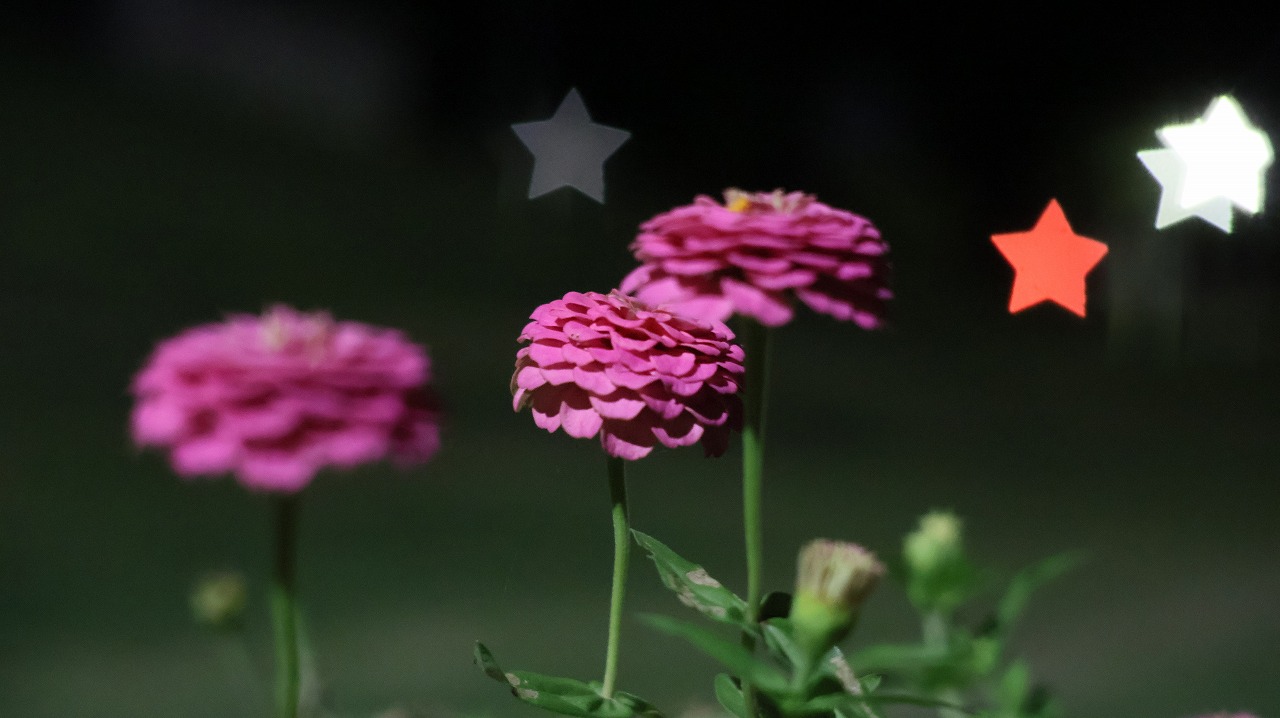 群馬県太田市の太田市運動公園の風鈴
