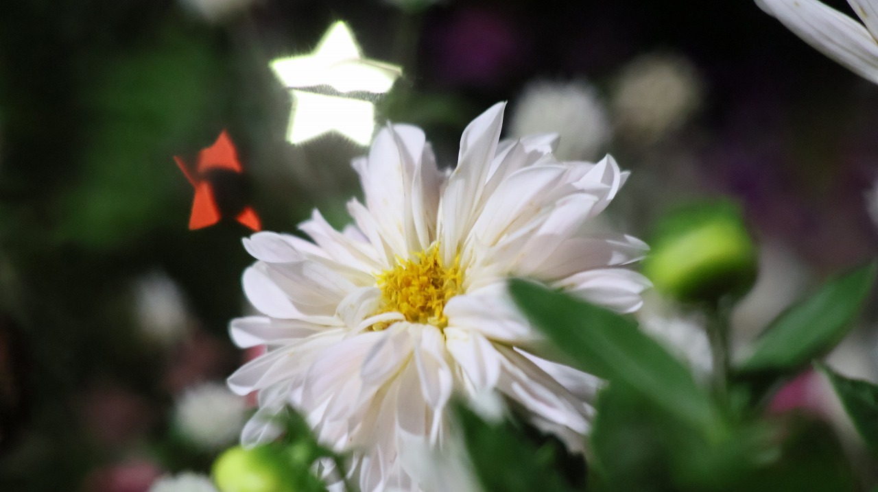 群馬県太田市の太田市運動公園の風鈴