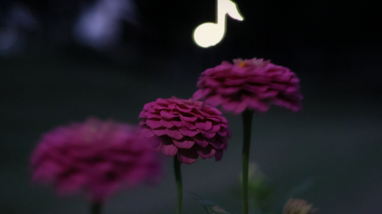 群馬県太田市の太田市運動公園の風鈴