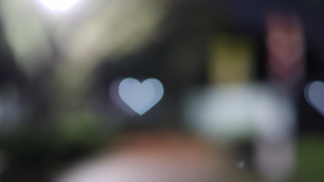 群馬県太田市の太田市運動の風鈴と花