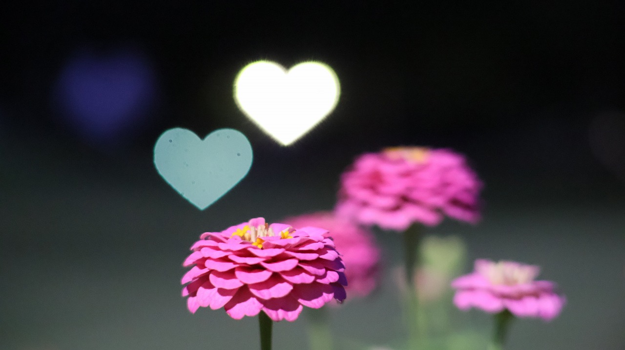 群馬県太田市の太田市運動の風鈴と花