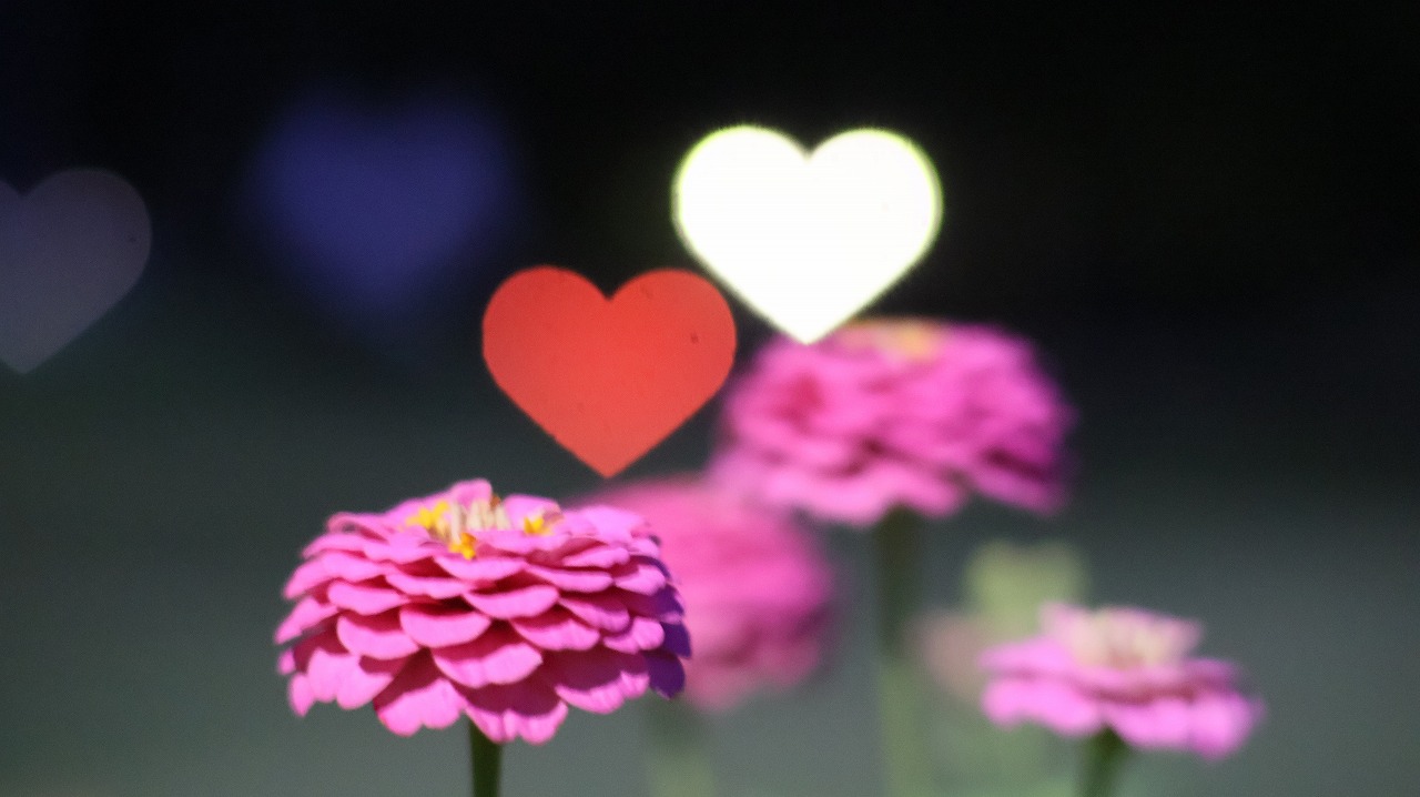 群馬県太田市の太田市運動の風鈴と花