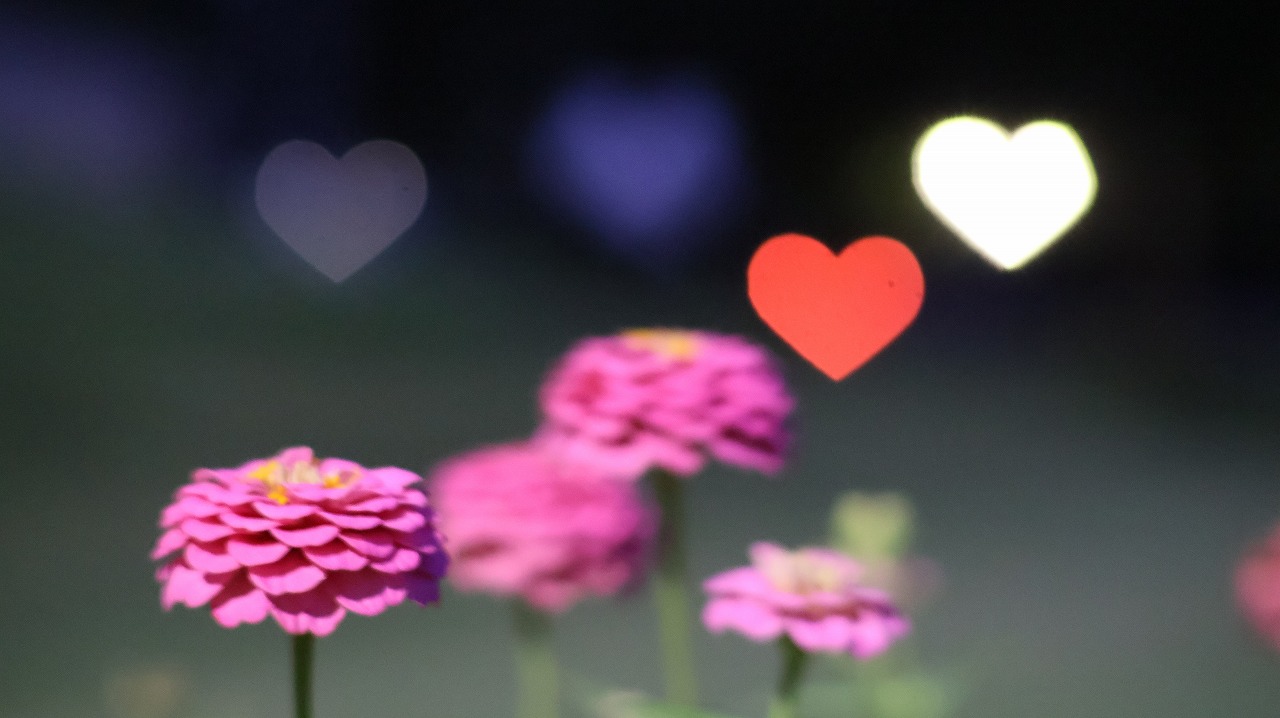 群馬県太田市の太田市運動の風鈴と花