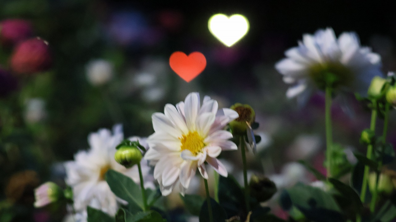 群馬県太田市の太田市運動の風鈴と花