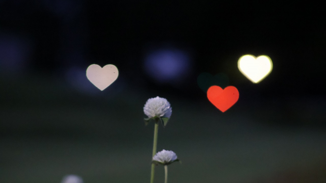 群馬県太田市の太田市運動の風鈴と花