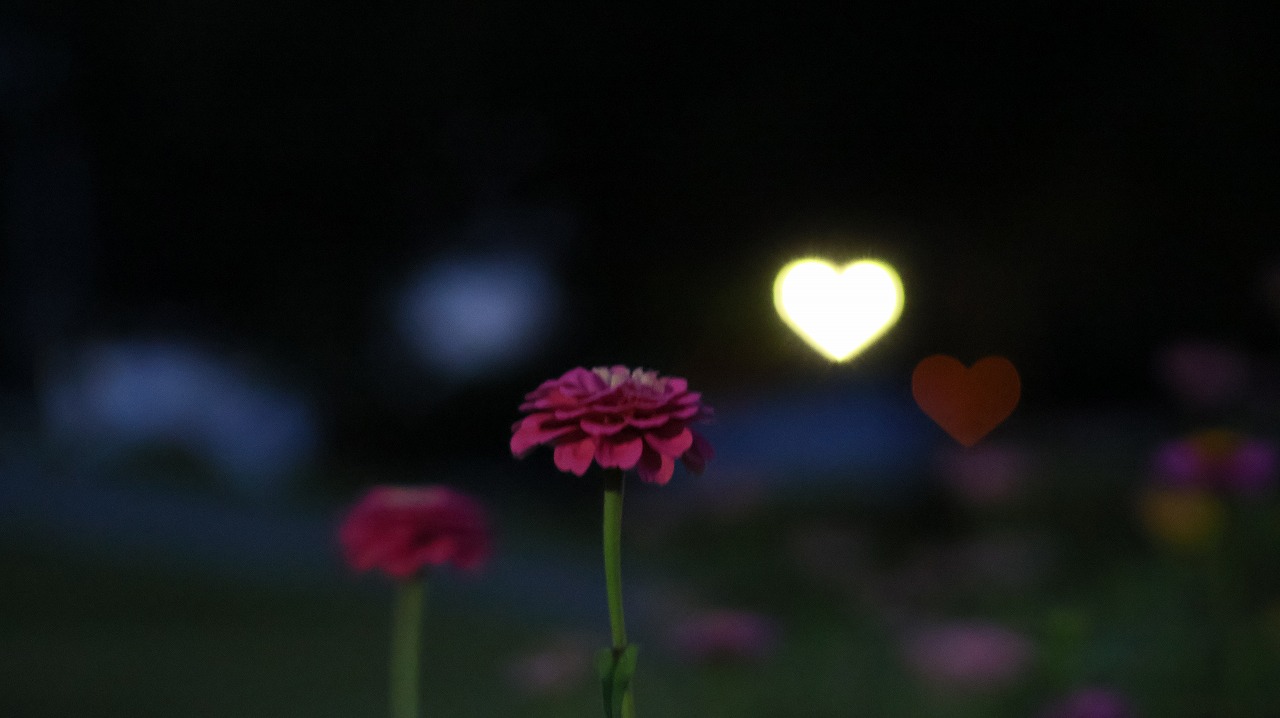 群馬県太田市の太田市運動の風鈴と花