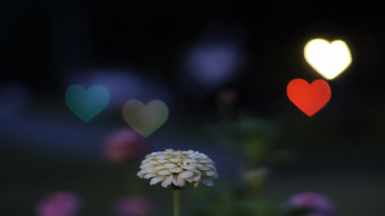 群馬県太田市の太田市運動の風鈴と花