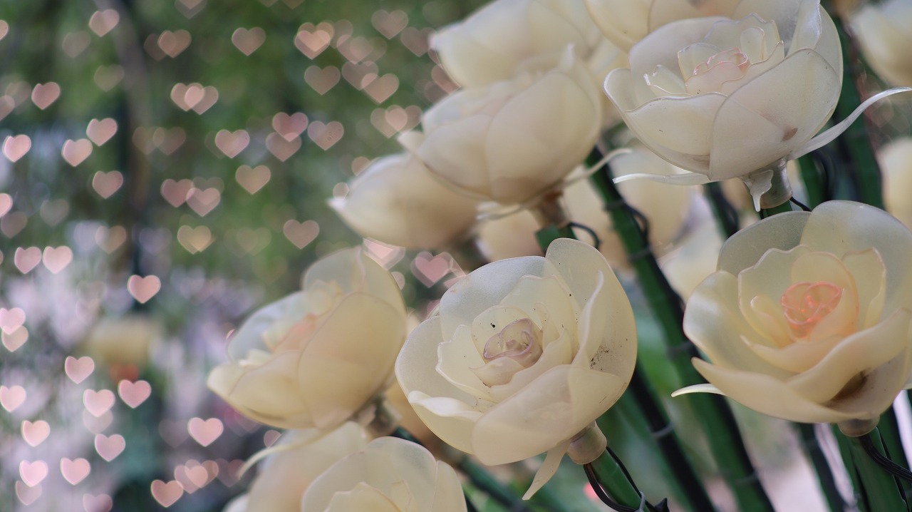 栃木県足利市のあしかがフラワーパーク