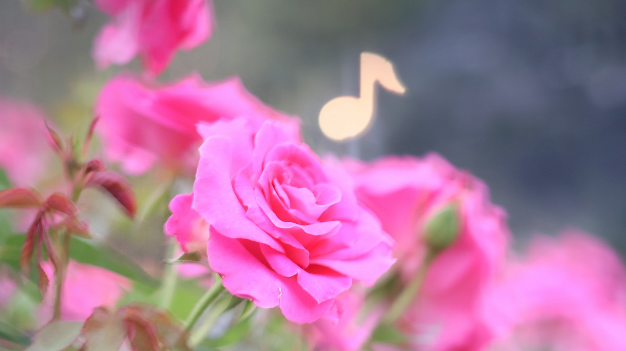 栃木県足利市のあしかがフラワーパーク