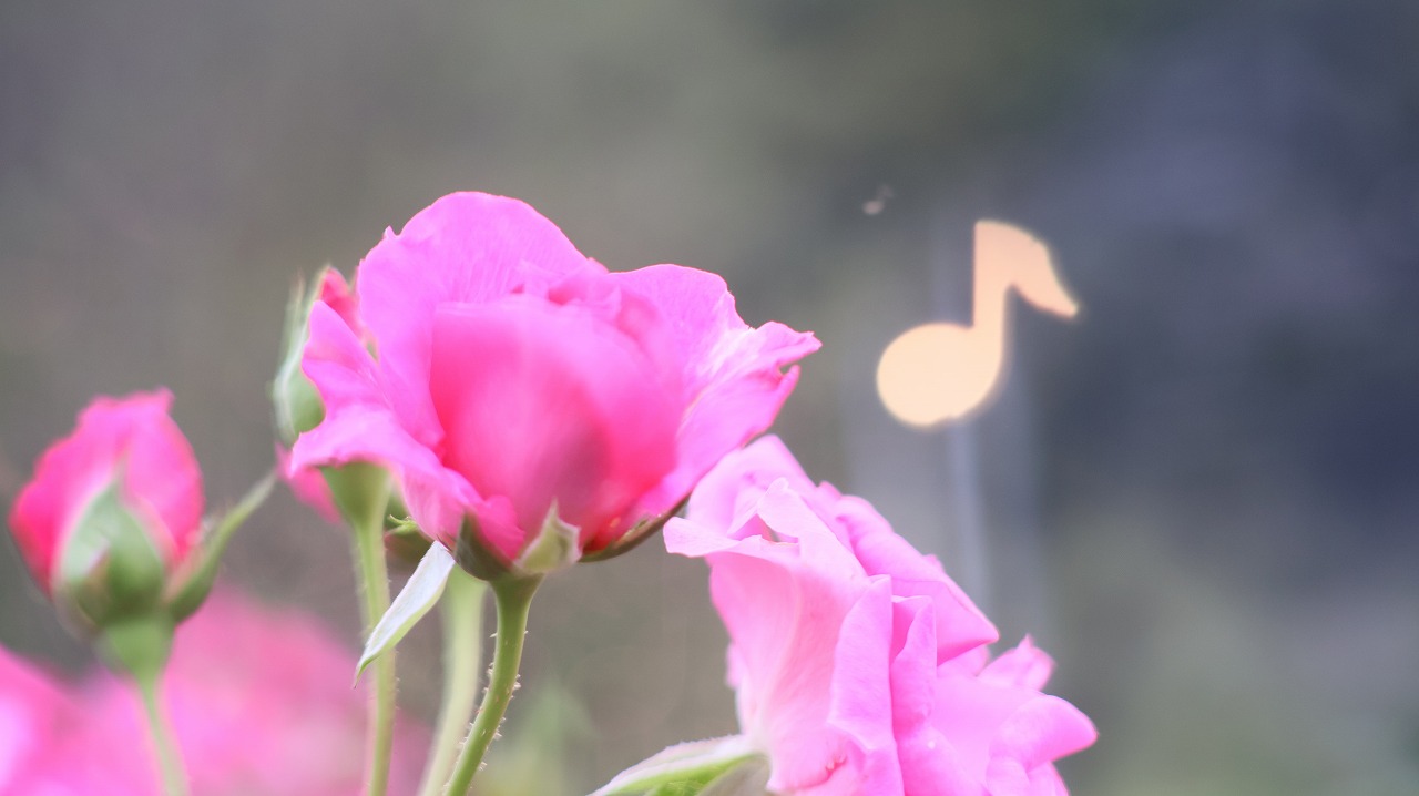 栃木県足利市のあしかがフラワーパーク