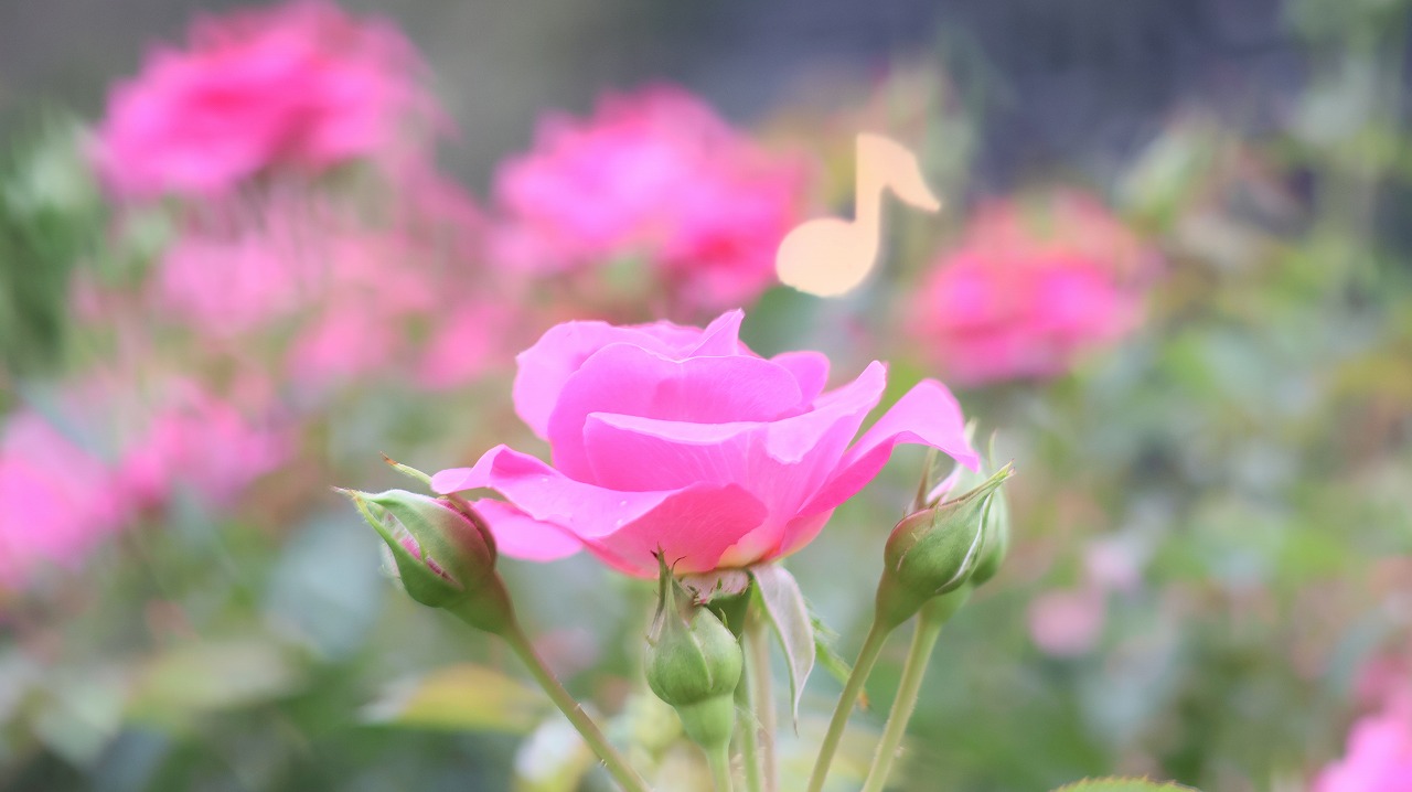 栃木県足利市のあしかがフラワーパーク