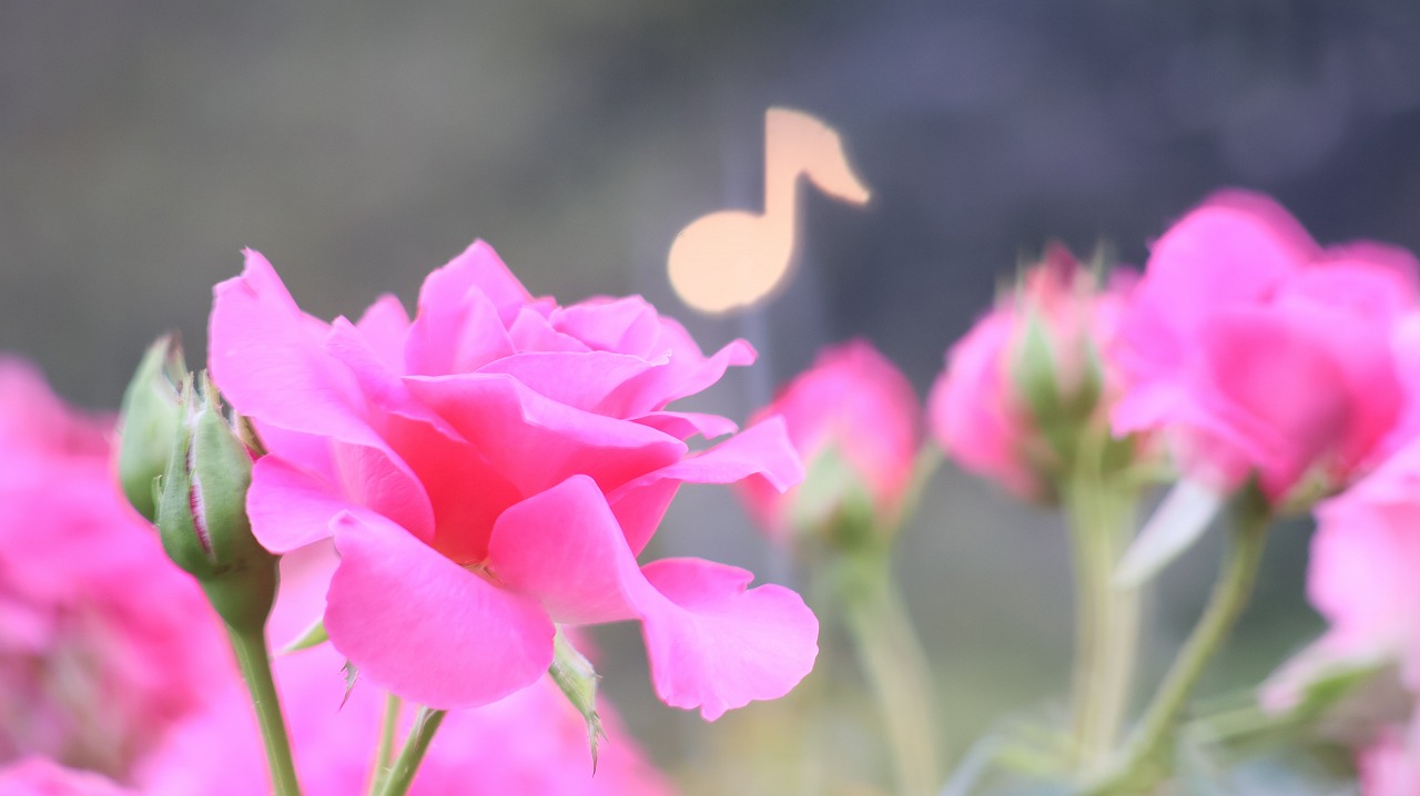 栃木県足利市のあしかがフラワーパーク