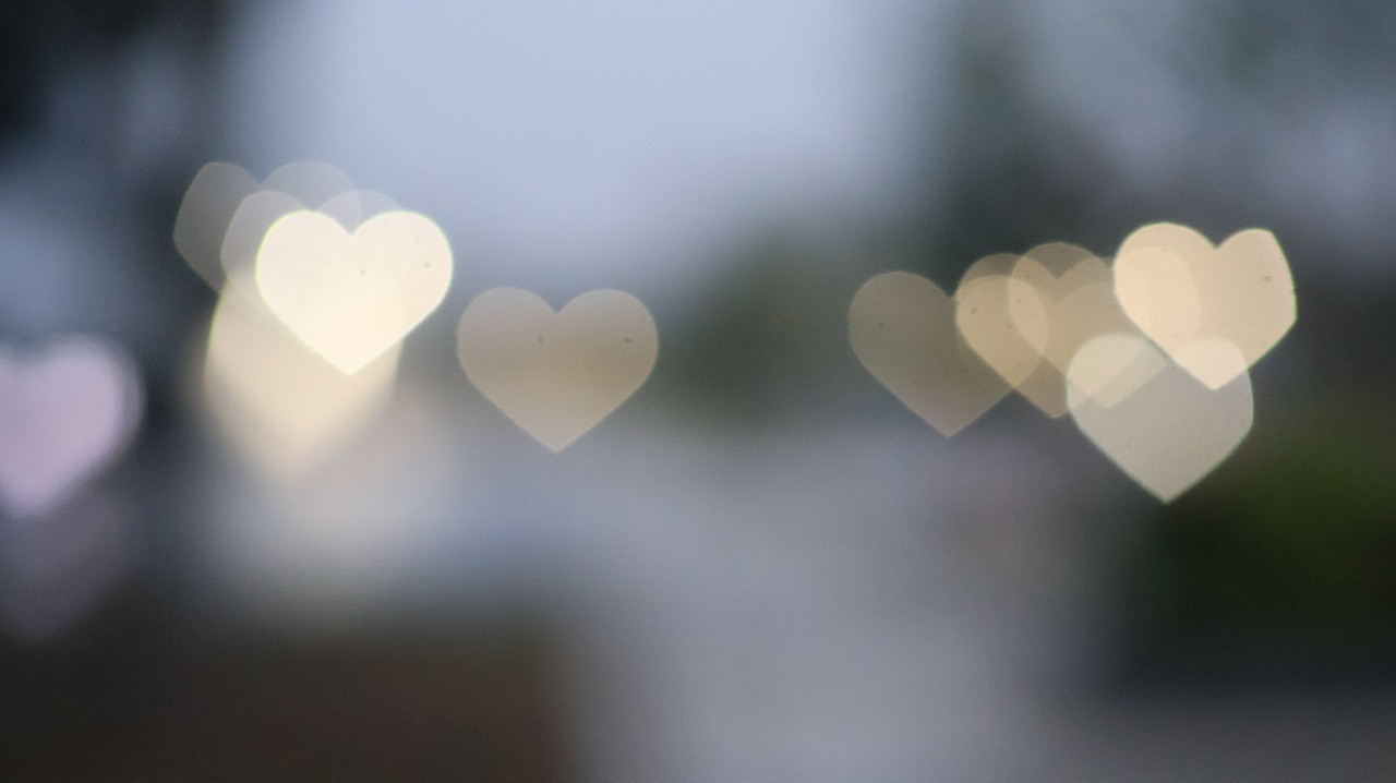 群馬県太田市の太田市運動公園の風鈴と花