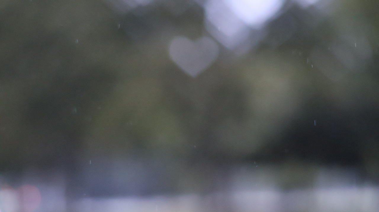 群馬県太田市の太田市運動公園の風鈴と花