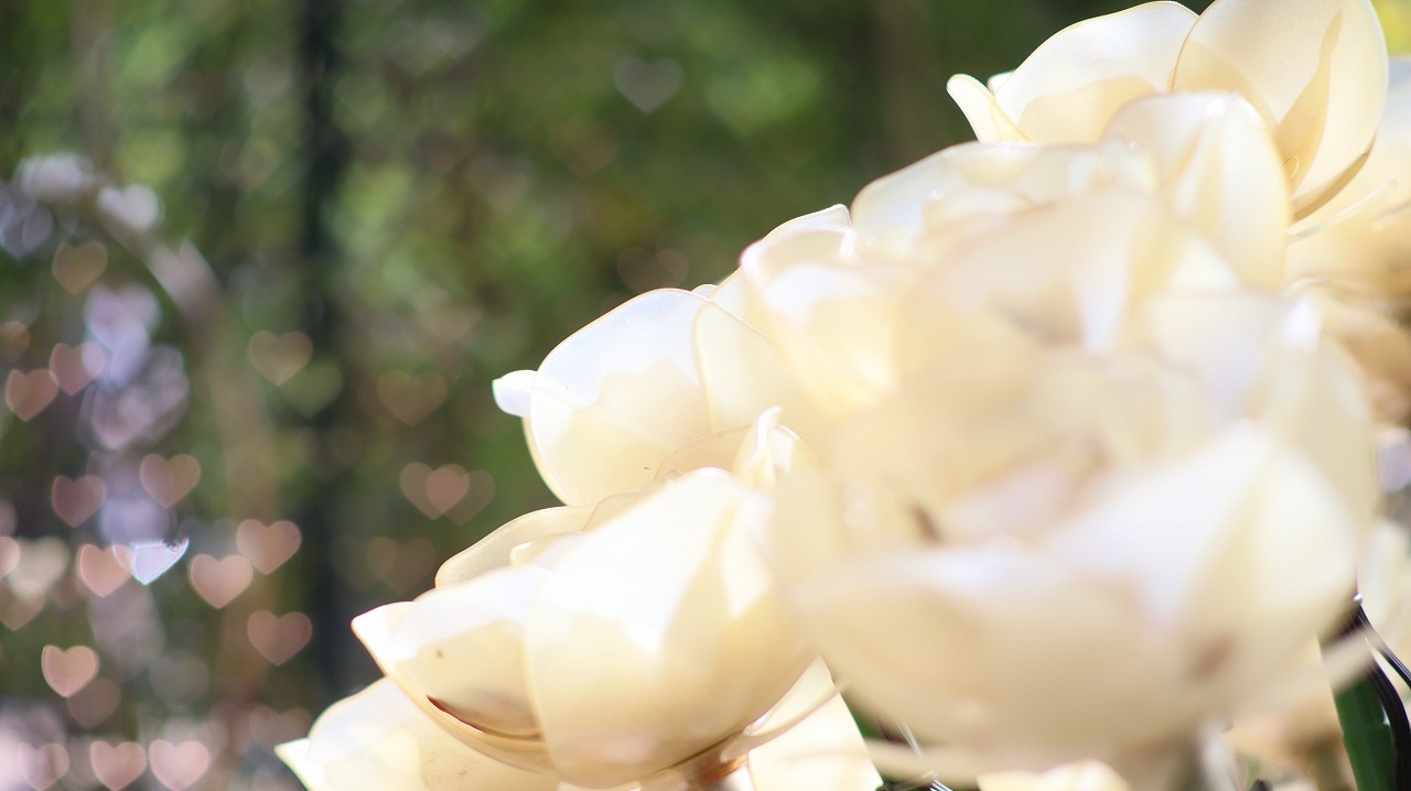 栃木県足利市のあしかがフラワーパークの花々