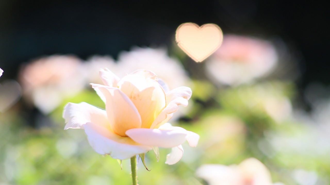 栃木県足利市のあしかがフラワーパークの花々