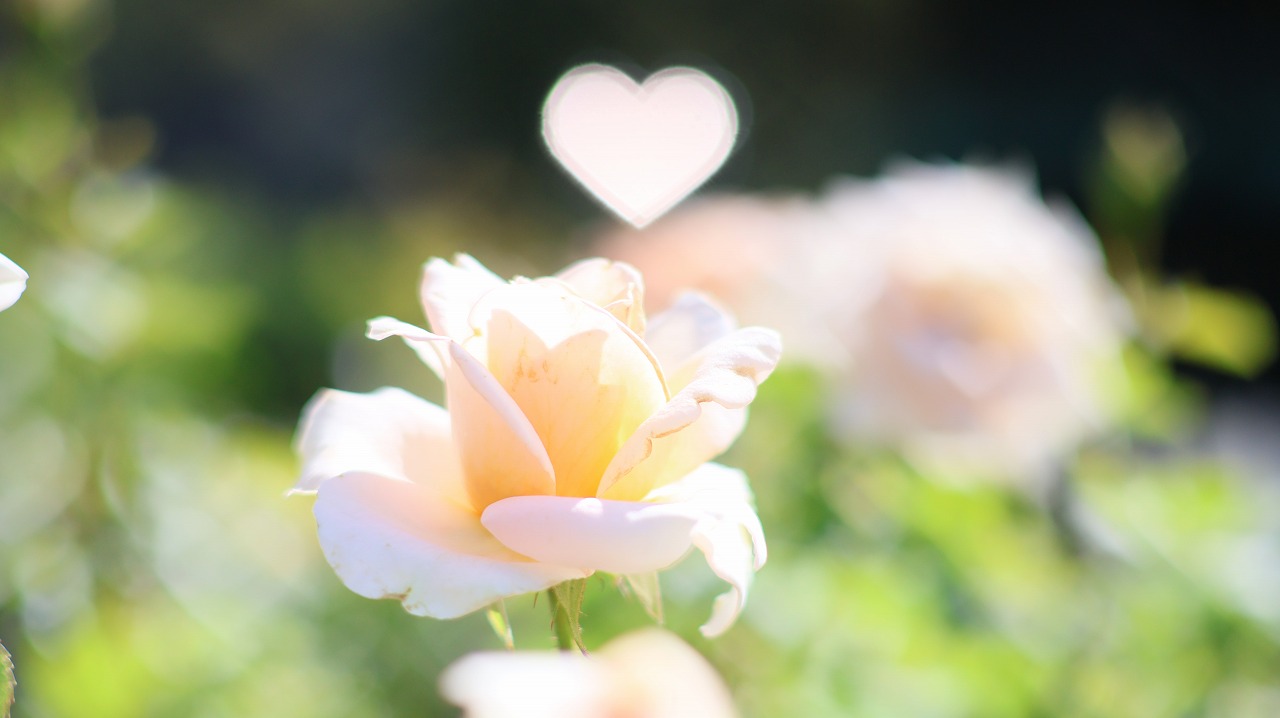 栃木県足利市のあしかがフラワーパークの花々