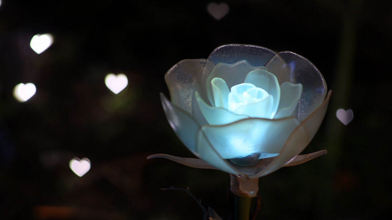 栃木県足利市のあしかがフラワーパークのイルミネーション