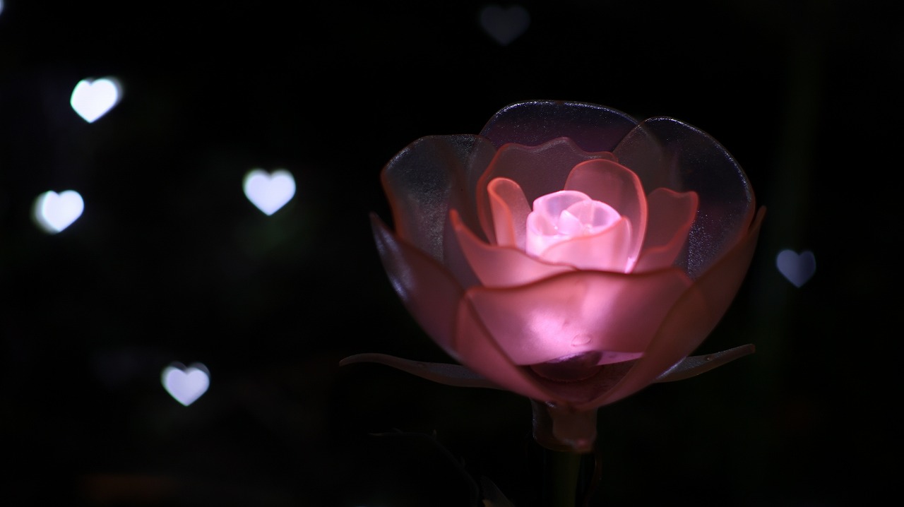 栃木県足利市のあしかがフラワーパークのイルミネーション