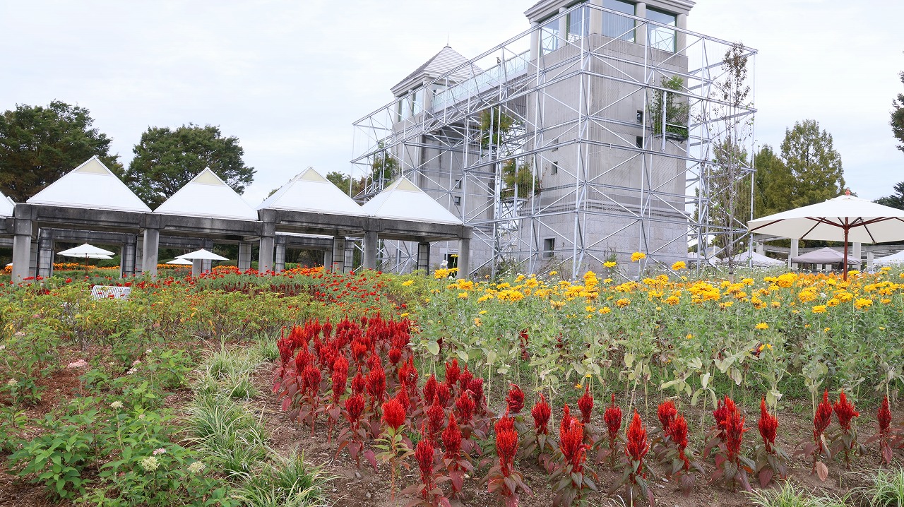 群馬県前橋市の群馬フラワーパークの花々

