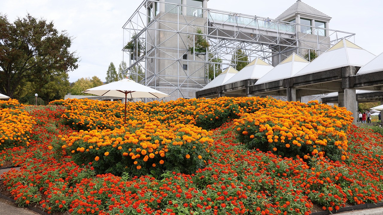 群馬県前橋市の群馬フラワーパークの花々
